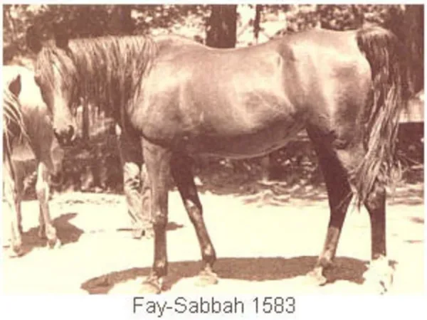 Fay-Sabbah