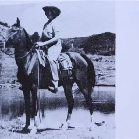 Kireyna (Raseyn x Kirah) bay mare, foaled July 31, 1936
bred by W.K. Kellogg Institute