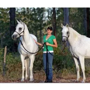 The Palms Arabians