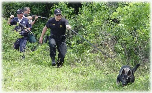 Tracking
