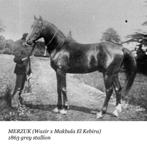 Merzuk