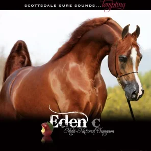 Eden C