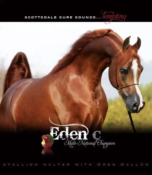 Eden C
