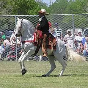 Azteca