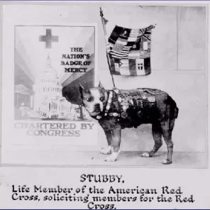 SGT. Stubby