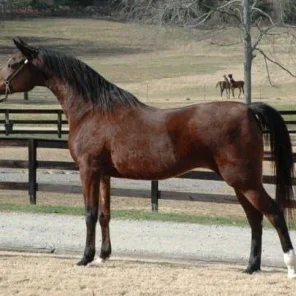 Erie Anna