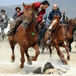 Buzkashi