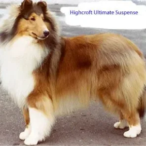 Ch Highcroft Ultimate Suspense