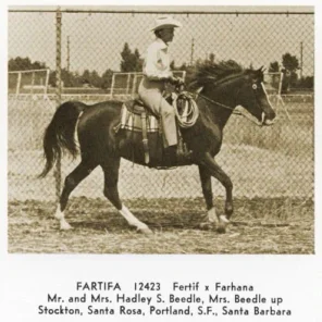 FARTIFA