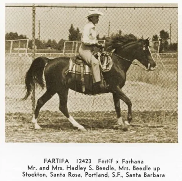 FARTIFA