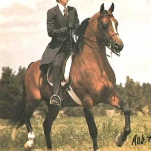 ARISTO KOSSAK