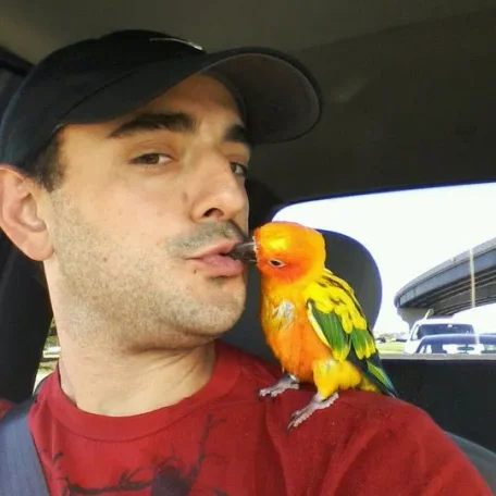 Caiques, Small Conures, Lories, Large Parakeets, Pionus, and Poicephalus