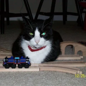 Sam