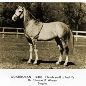 Guardsman