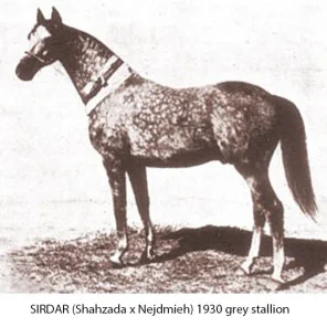 Sirdar