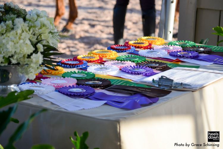 ARE WE HELPING KIDS BY DUMBING DOWN HORSE SHOWS?