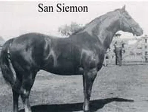 San Siemon