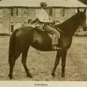 Raschida