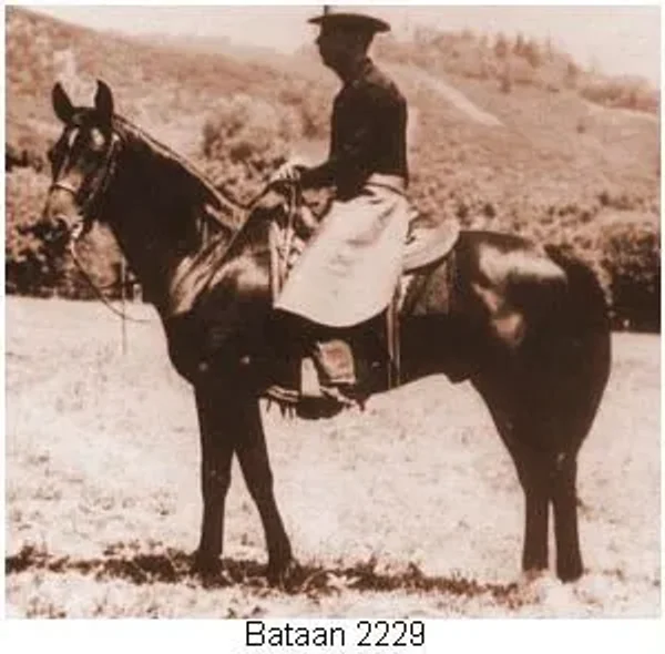 Bataan