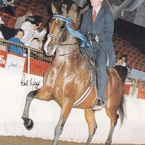 BRU-BET BASSERA