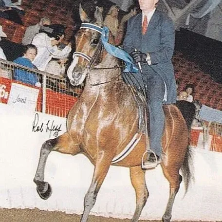 BRU-BET BASSERA