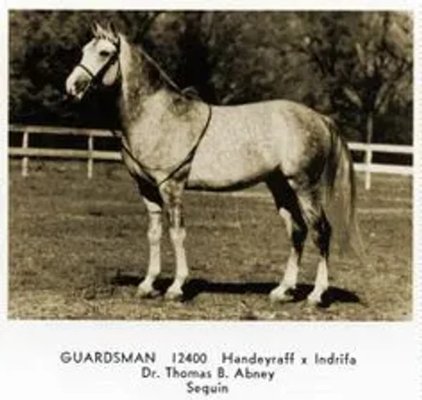 Guardsman