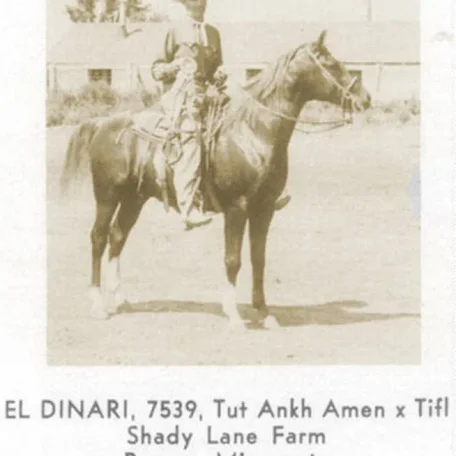 EL DINARI