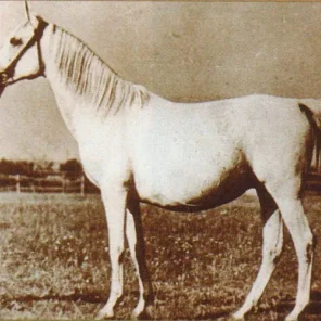 BALALAJKA