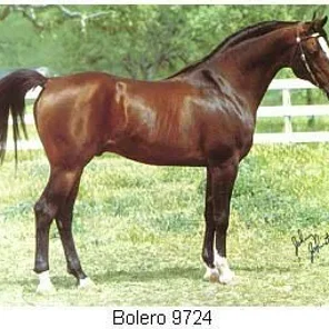 Bolero