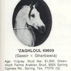 ZAGHLOUL