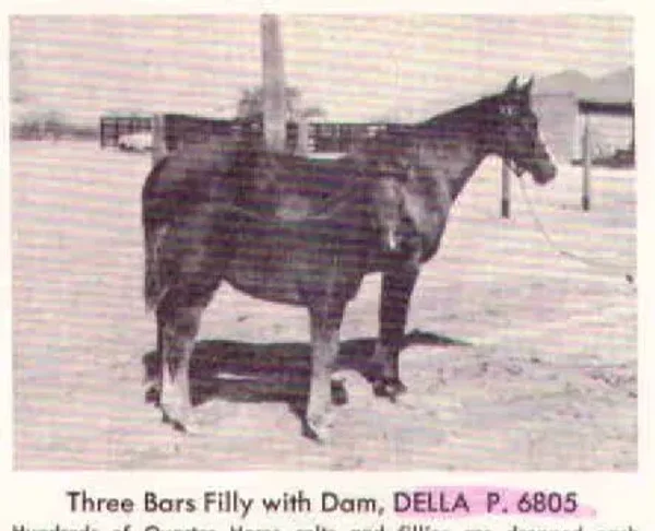 Della P