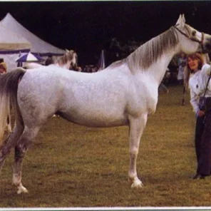 Kazra el Saghira