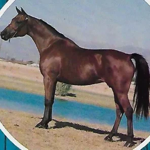 KARNIL