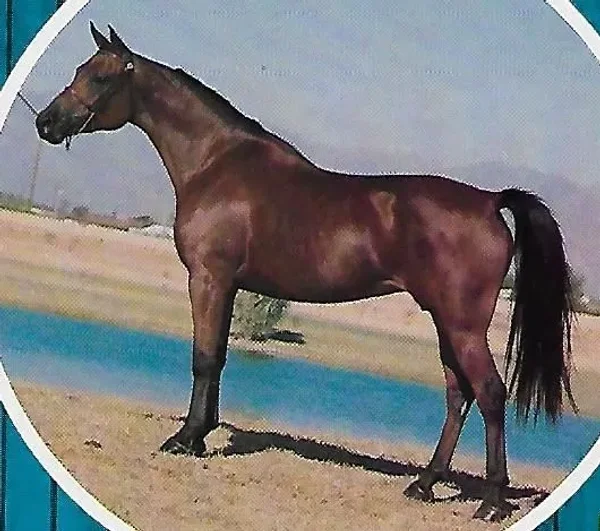KARNIL