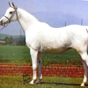 Lebleba