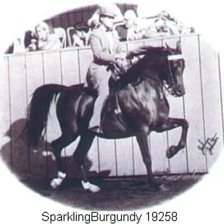 SPARKLINGBURGUNDY