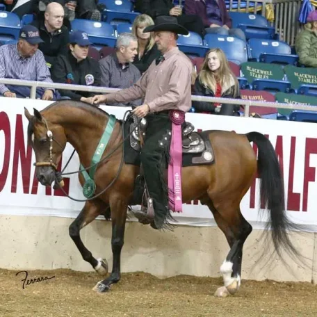 U.S. Nationals, 2012...3rd on the cards
