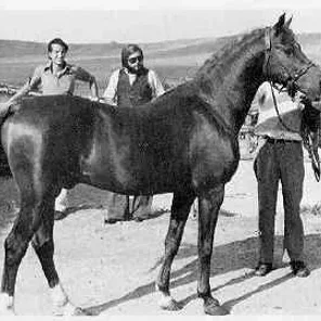 ZANCUDO