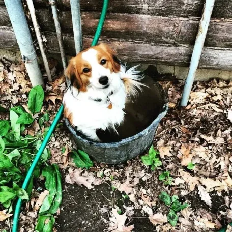 Max loves to takes baths! <3