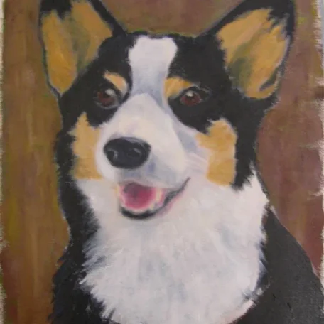 Pretty Gillie is a wheelcorgi and uses a cart to get around