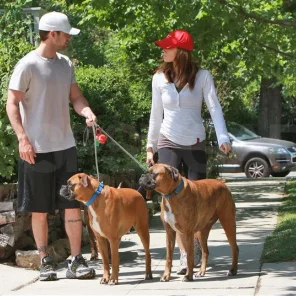 Hollywoods Stars and Some of Their Pets