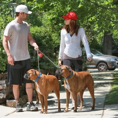 Some of Hollywood's Biggest Stars and a Few of Their Pets