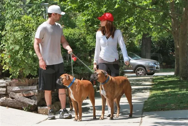 Some of Hollywood's Biggest Stars and a Few of Their Pets