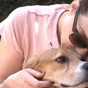 5 Korean Beagles Used In Testing