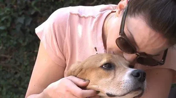 It is heart wrenching to imagine animals spending their entire lives in small cages and whose sole purpose is to be used for experiments. Beagles in this case...