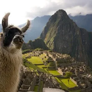 Alpaca vs Llama, What are the Differences??