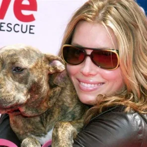 Hollywoods Stars and Some of Their Pets