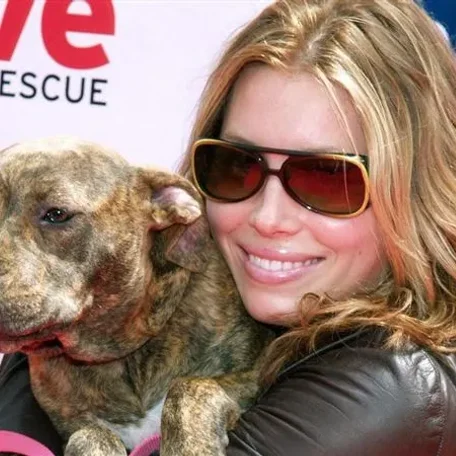 Some of Hollywood's Biggest Stars and a Few of Their Pets