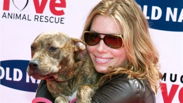 Some of Hollywood's Biggest Stars and a Few of Their Pets