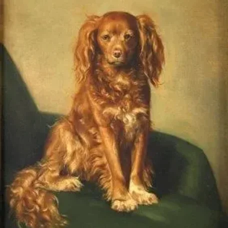Pets of the English, French and Aristocrats of Europe